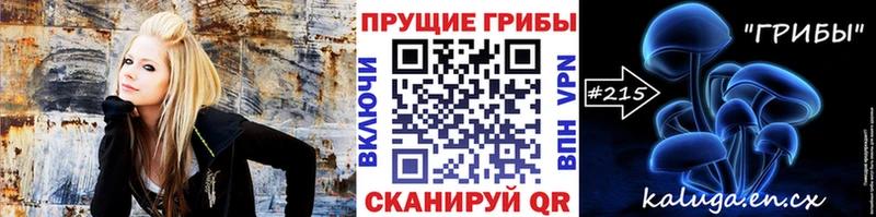 Купить закладки  Беломорск  Галлюциногенные грибы мицелий 